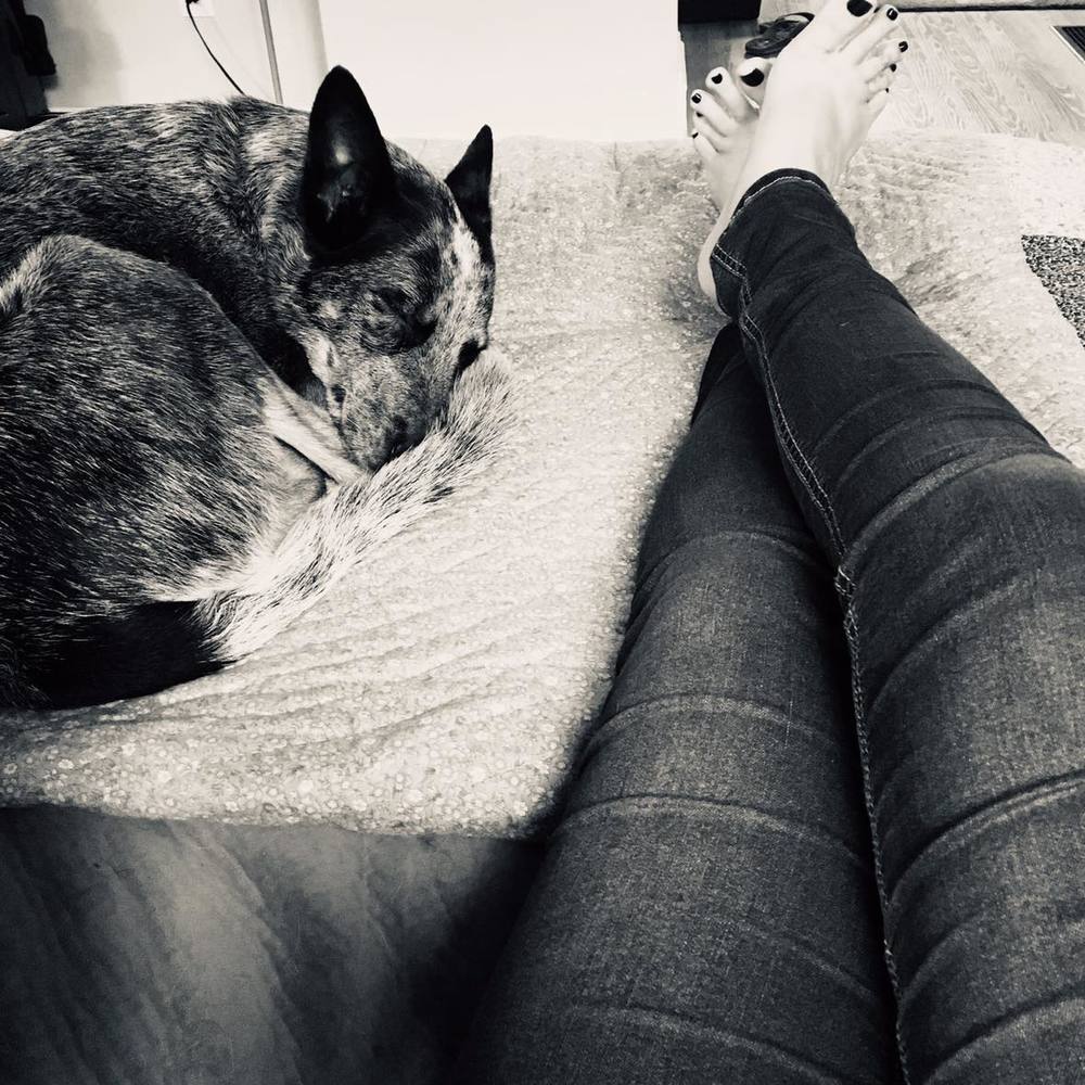 Meet your Posher, Hollie